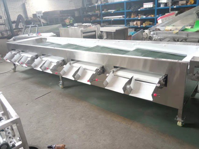 blueberry sorting machine (1)