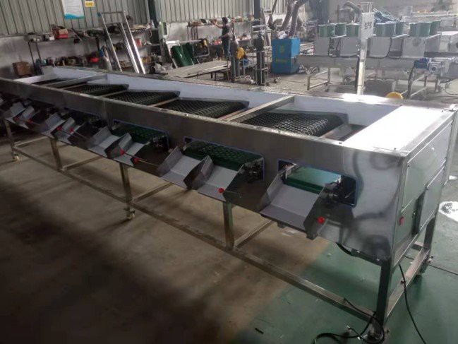 blueberry sorting machine (5)