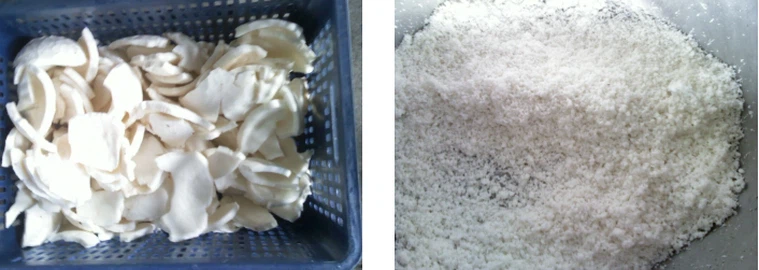 M23PAIQW2F5XHHNAW6FH M23PAIQW2F5XHHNAW6FH