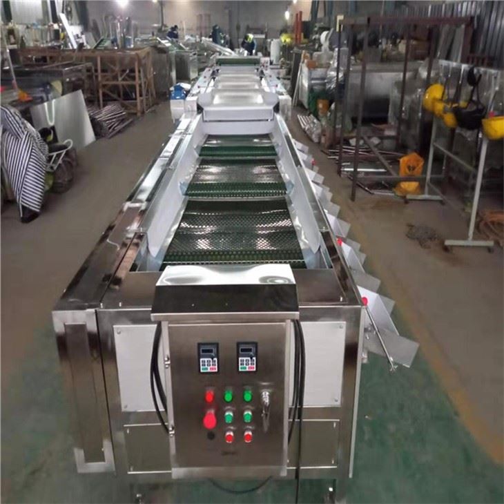 Cherry Grader Machine