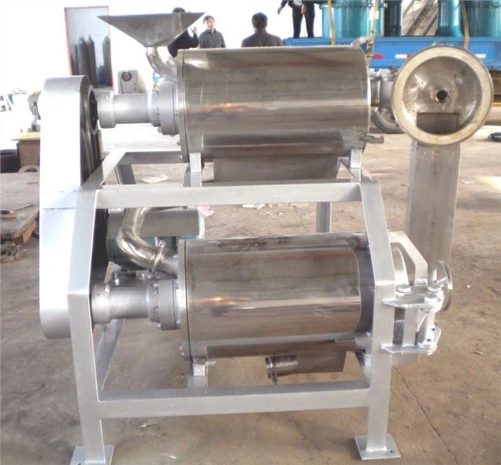Double Channel Fruit Beating Machine