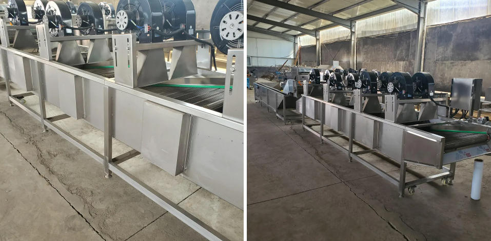 drying Machine