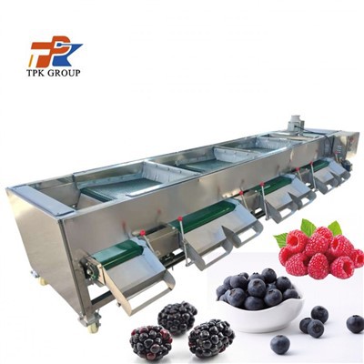 เครื่องเรียงลำดับผลไม้เบอร์รี่