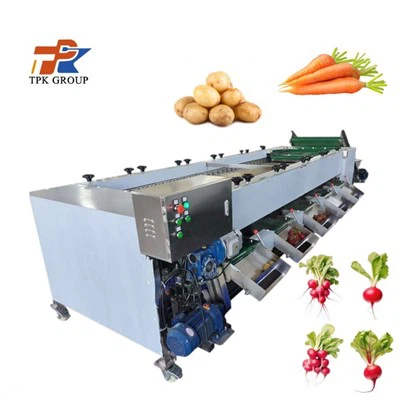 เครื่องคัดแยกแครอท