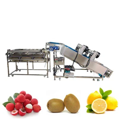 เครื่องวัดขนาดผลไม้หลายทาง