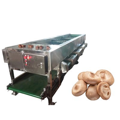 เครื่องคัดแยกผลไม้เห็ด