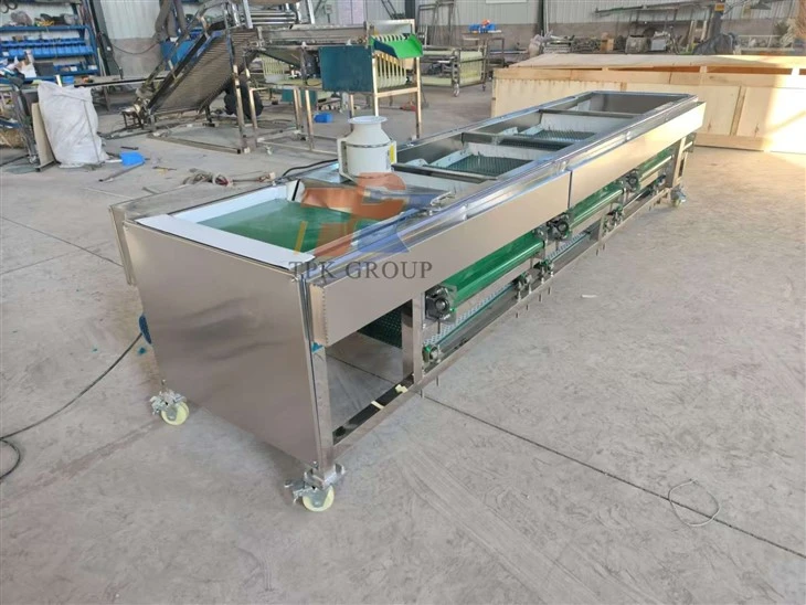 Sorter Grading Blueberry Sorting Machine